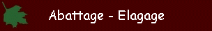 Abattage - Elagage