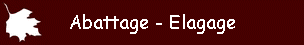 Abattage - Elagage